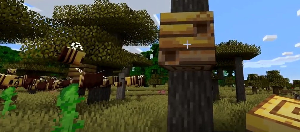 Finding Bee Hives and Creating Honey Farms in Minecraft ...