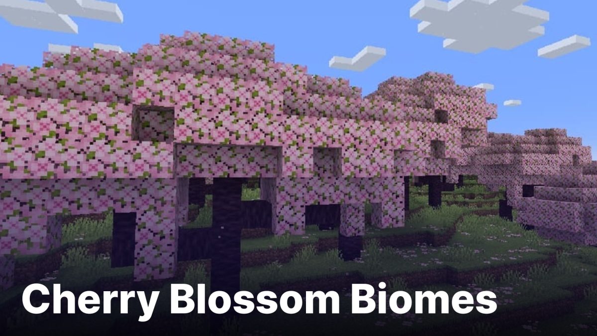 1.20 Cherry Blossom biomes