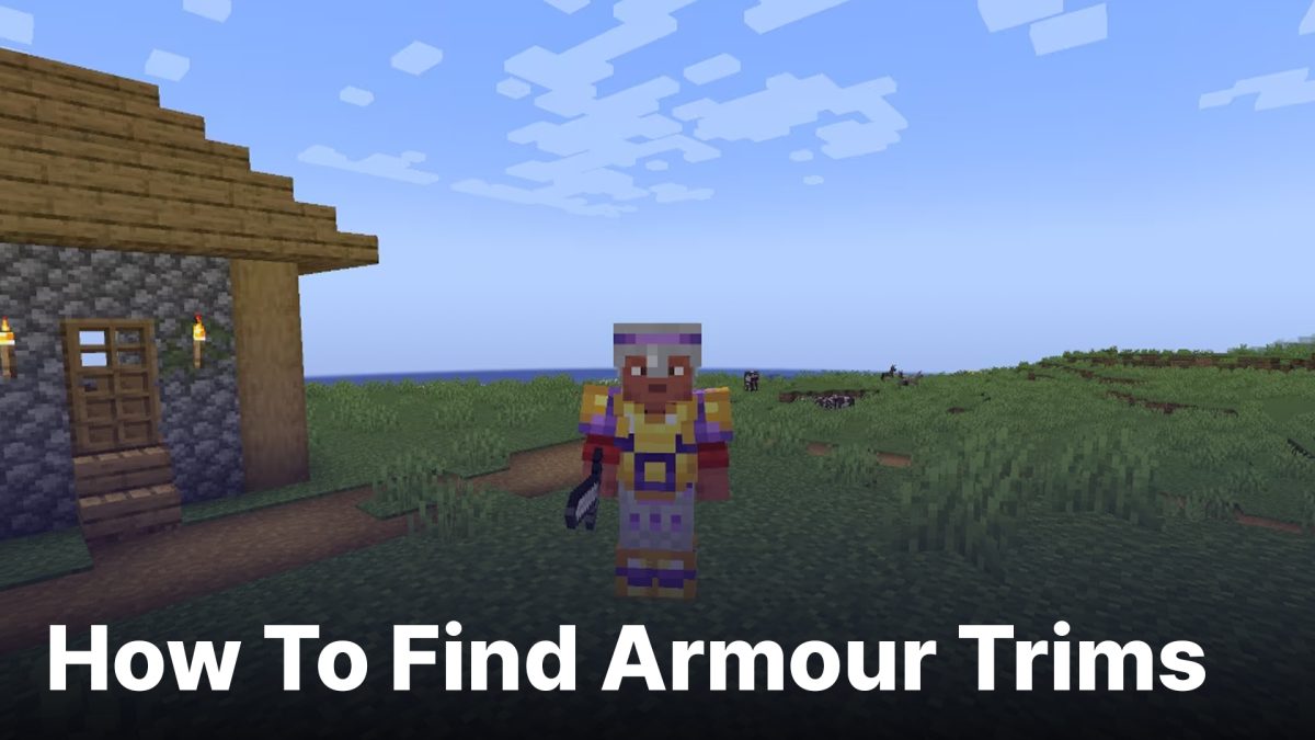 1.20 &#8211; How To Find Amour Trims
