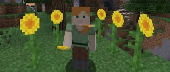 Sunflowers in Minecraft: Locations, Usage, and More