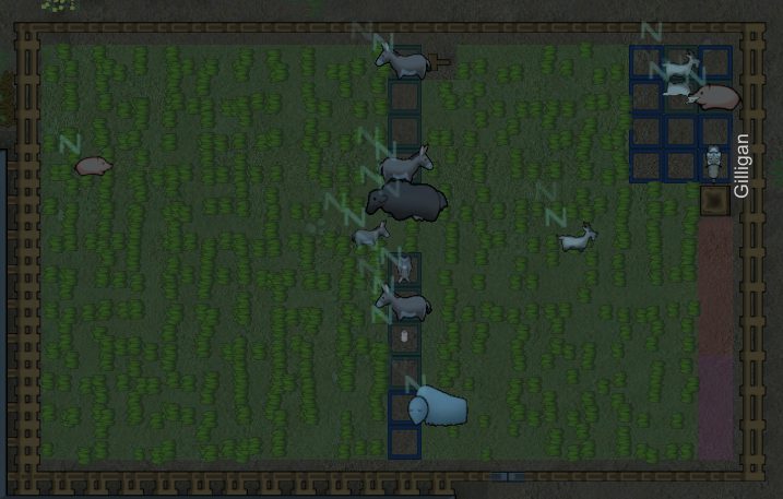 How to Feed Animals in a Pen in RimWorld (Complete Guide)