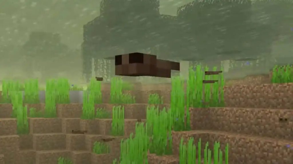 Tadpoles Minecraft