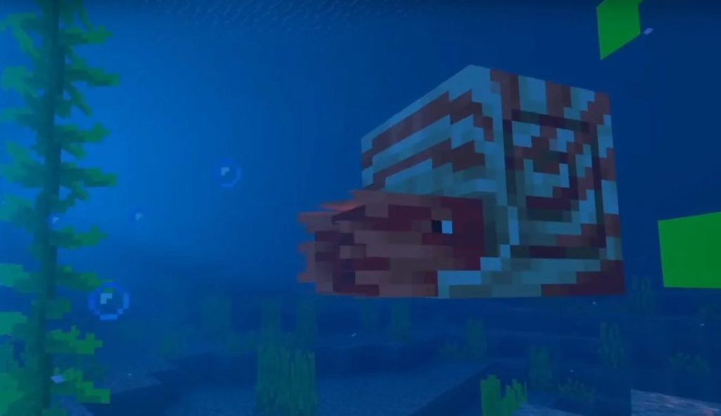 Nautilus Minecraft
