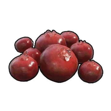 What Pal drops Red Berries?