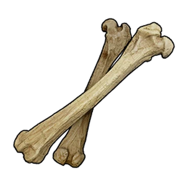 What Pal drops Bones?