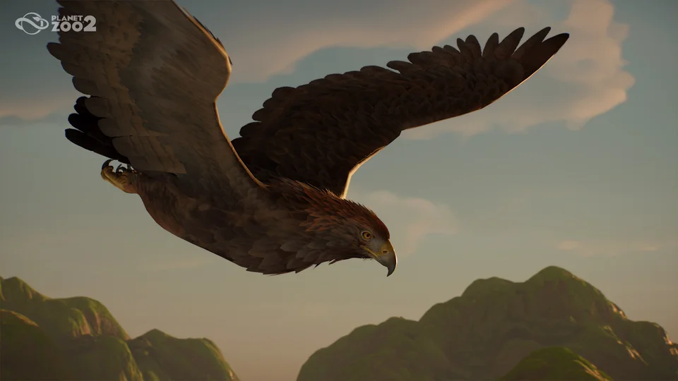 Bird Planet Zoo 2
